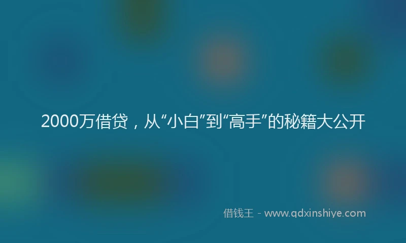 2000万借贷，从“小白”到“高手”的秘籍大公开