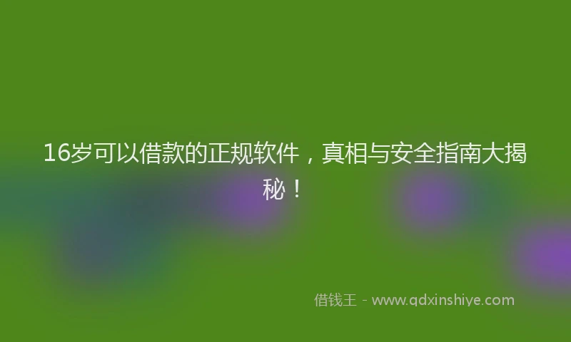 16岁可以借款的正规软件，真相与安全指南大揭秘！