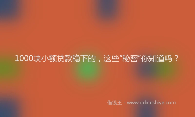 1000块小额贷款稳下的，这些“秘密”你知道吗？