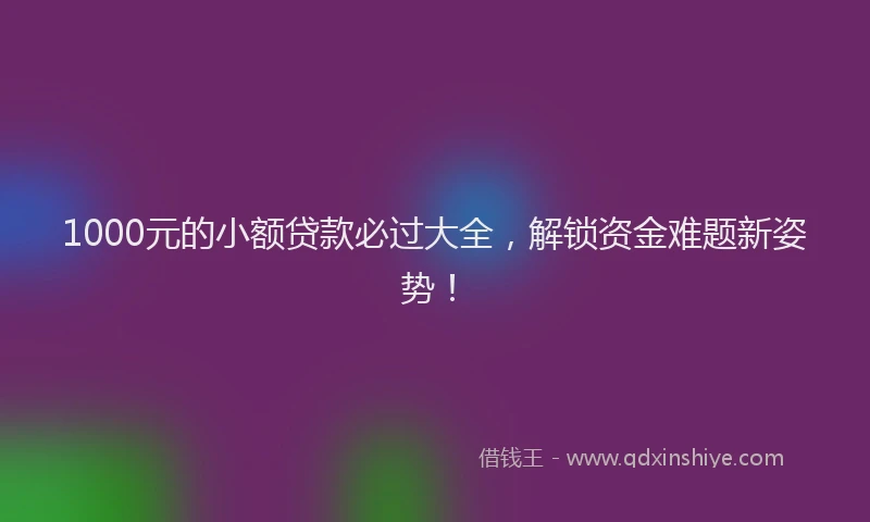 1000元的小额贷款必过大全，解锁资金难题新姿势！