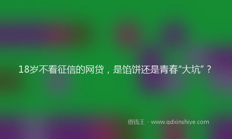 18岁不看征信的网贷，是馅饼还是青春“大坑”？