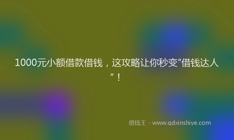 1000元小额借款借钱，这攻略让你秒变“借钱达人”！