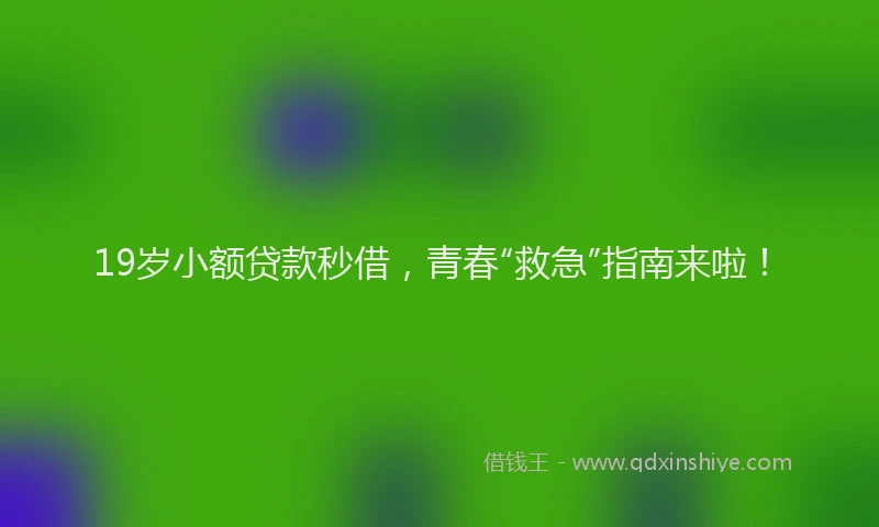 19岁小额贷款秒借，青春“救急”指南来啦！