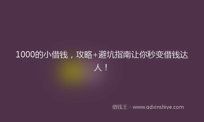 1000的小借钱，攻略+避坑指南让你秒变借钱达人！