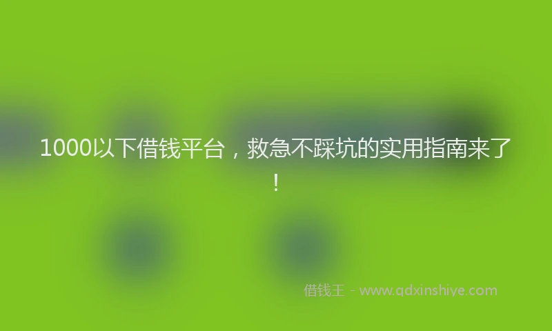 1000以下借钱平台，救急不踩坑的实用指南来了！