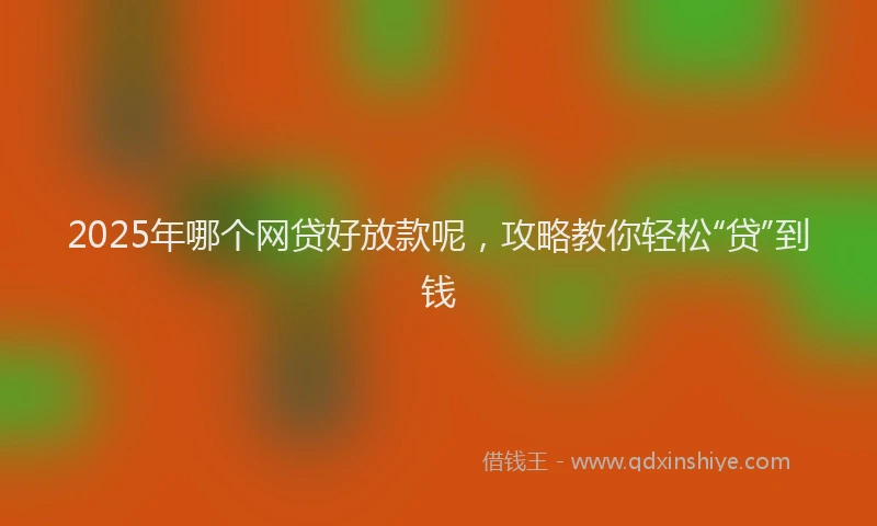 2025年哪个网贷好放款呢，攻略教你轻松“贷”到钱
