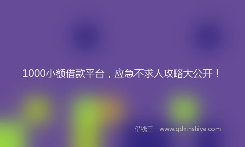 1000小额借款平台，应急不求人攻略大公开！