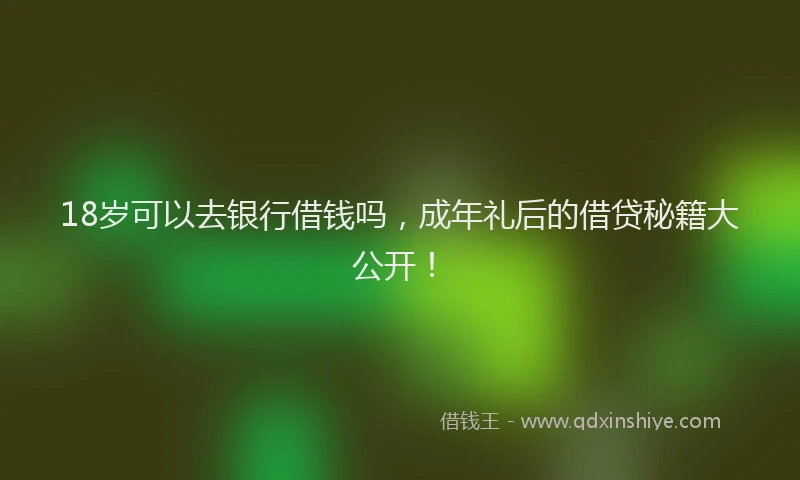 18岁可以去银行借钱吗，成年礼后的借贷秘籍大公开！