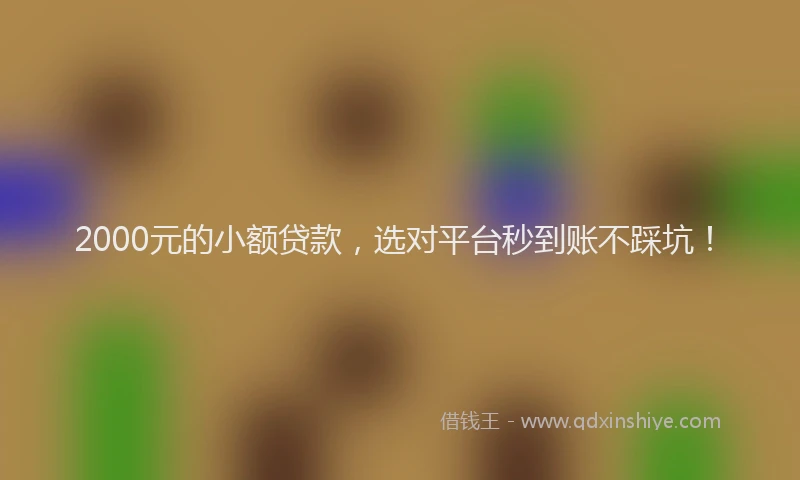 2000元的小额贷款，选对平台秒到账不踩坑！