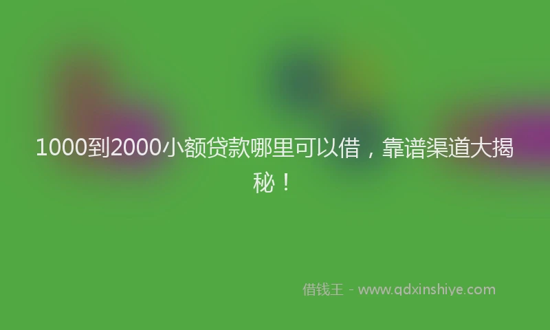 1000到2000小额贷款哪里可以借，靠谱渠道大揭秘！