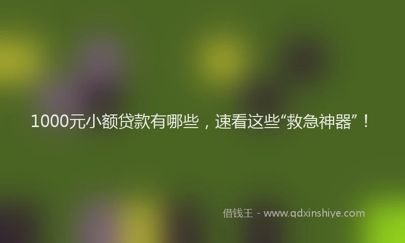 1000元小额贷款有哪些，速看这些“救急神器”！