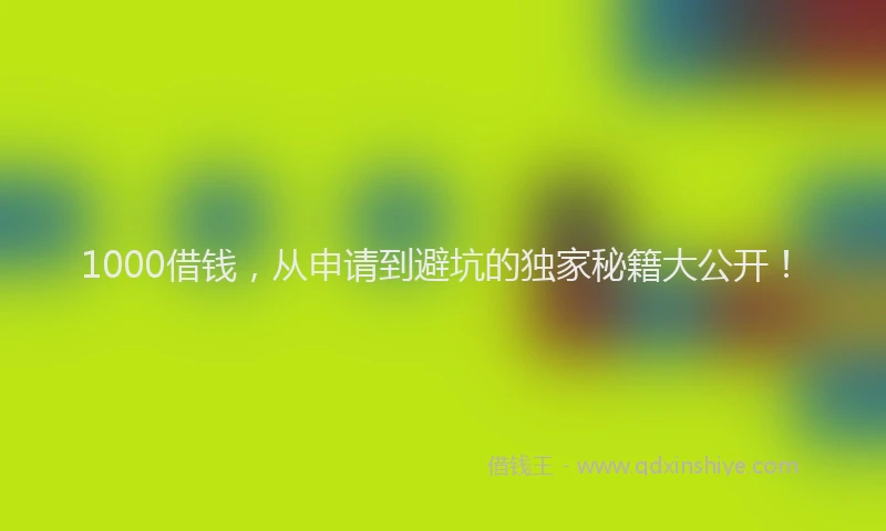 1000借钱，从申请到避坑的独家秘籍大公开！