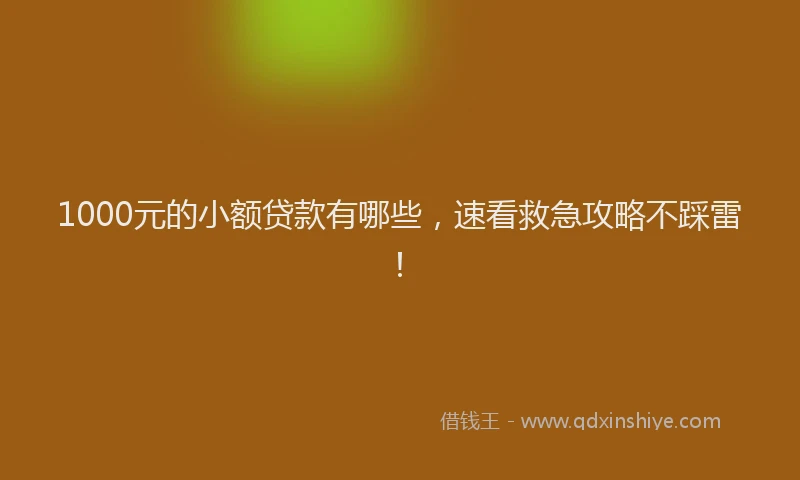 1000元的小额贷款有哪些，速看救急攻略不踩雷！