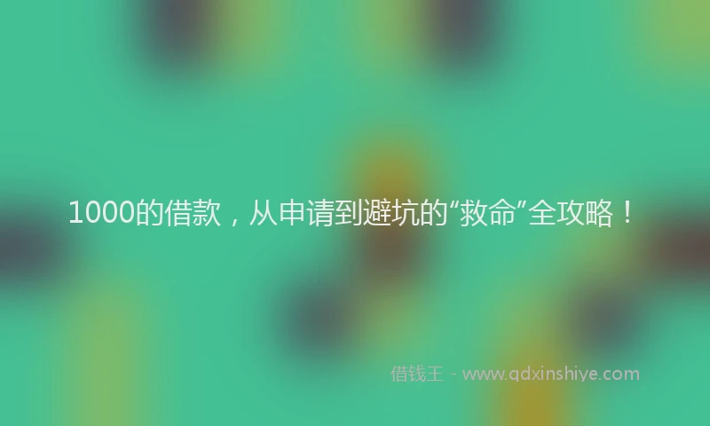 1000的借款，从申请到避坑的“救命”全攻略！