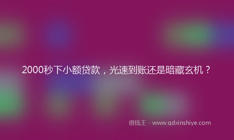 2000秒下小额贷款，光速到账还是暗藏玄机？