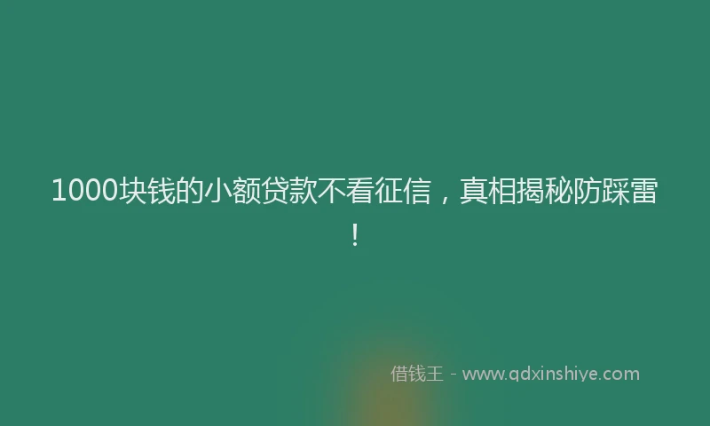 1000块钱的小额贷款不看征信，真相揭秘防踩雷！