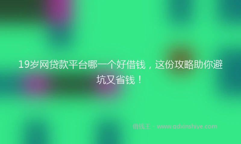 19岁网贷款平台哪一个好借钱，这份攻略助你避坑又省钱！