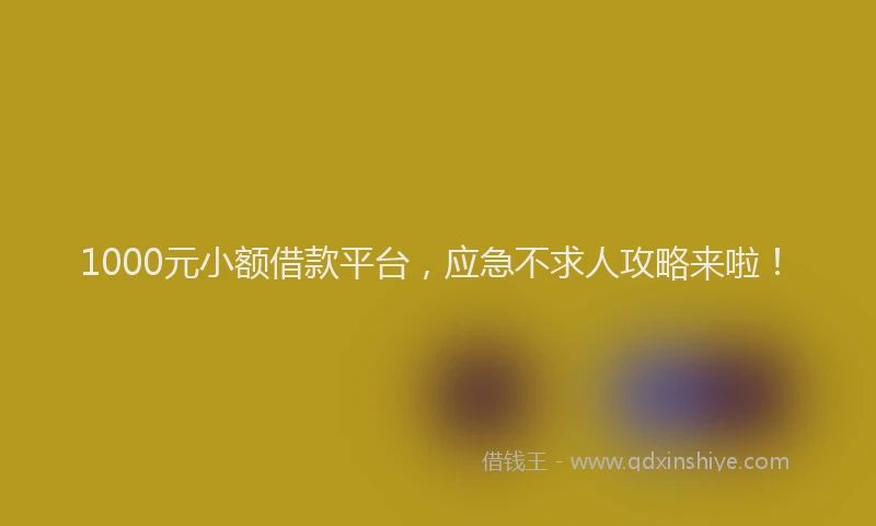 1000元小额借款平台，应急不求人攻略来啦！