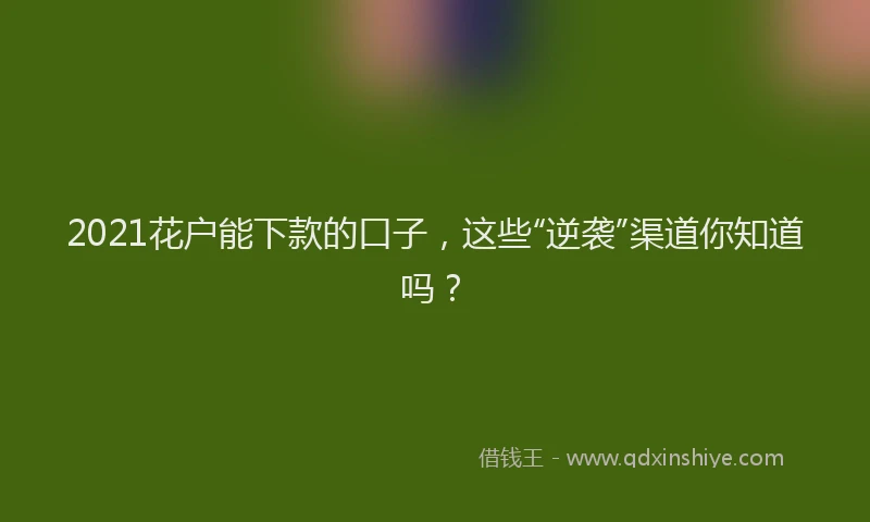 2021花户能下款的口子，这些“逆袭”渠道你知道吗？