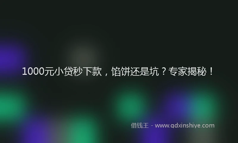 1000元小贷秒下款，馅饼还是坑？专家揭秘！