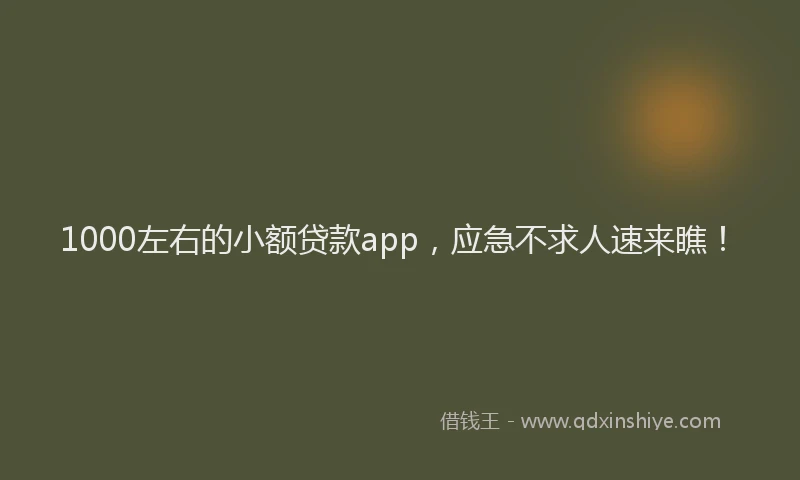 1000左右的小额贷款app，应急不求人速来瞧！