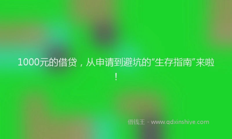 1000元的借贷，从申请到避坑的“生存指南”来啦！