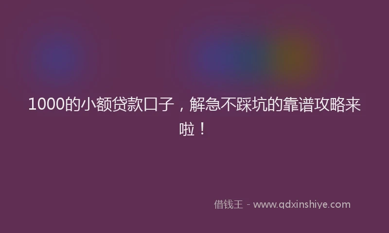 1000的小额贷款口子，解急不踩坑的靠谱攻略来啦！