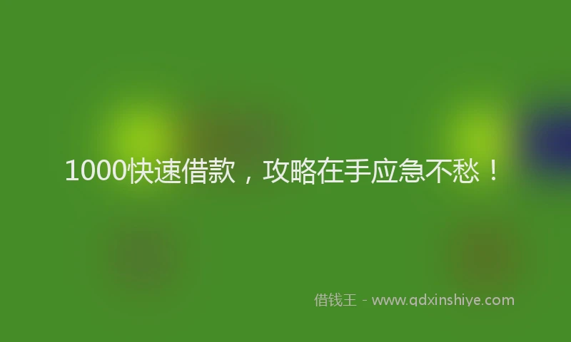 1000快速借款，攻略在手应急不愁！