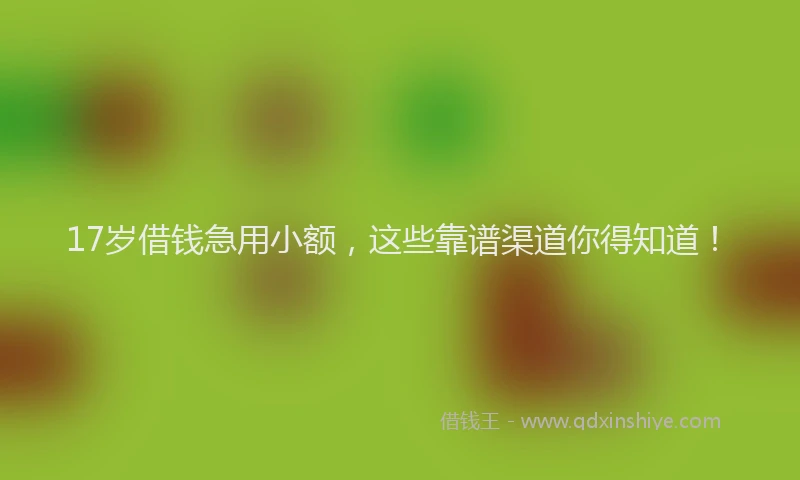 17岁借钱急用小额，这些靠谱渠道你得知道！