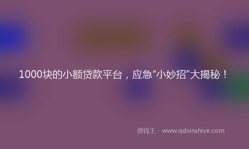 1000块的小额贷款平台，应急“小妙招”大揭秘！
