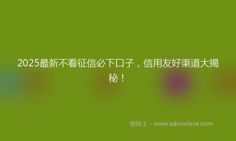 2025最新不看征信必下口子，信用友好渠道大揭秘！