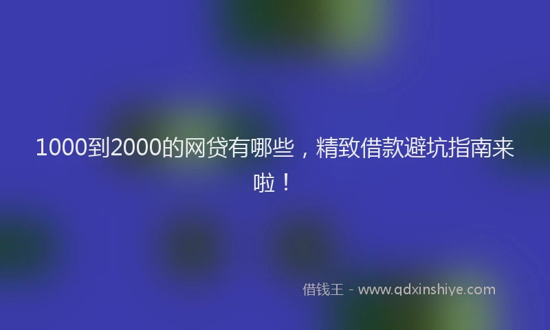 1000到2000的网贷有哪些，精致借款避坑指南来啦！
