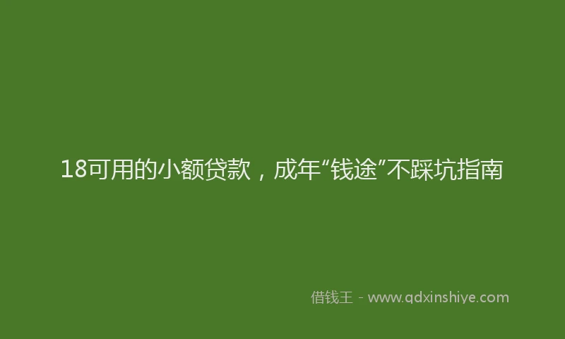 18可用的小额贷款，成年“钱途”不踩坑指南