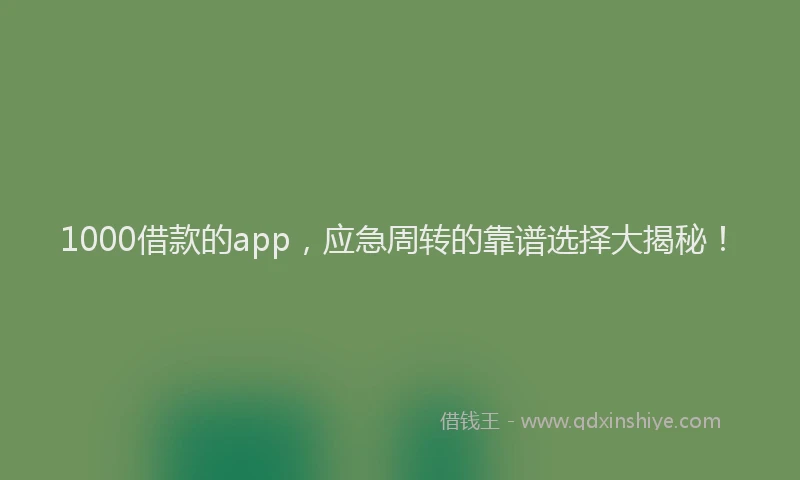 1000借款的app，应急周转的靠谱选择大揭秘！