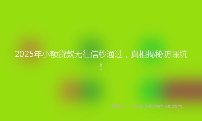 2025年小额贷款无征信秒通过，真相揭秘防踩坑！