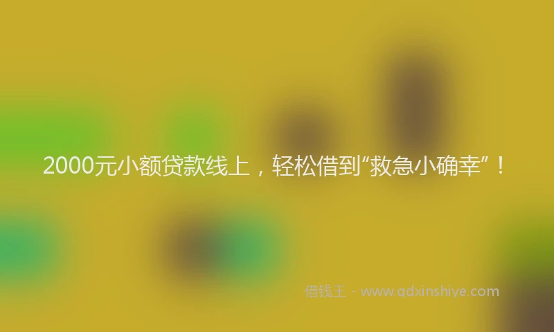 2000元小额贷款线上，轻松借到“救急小确幸”！