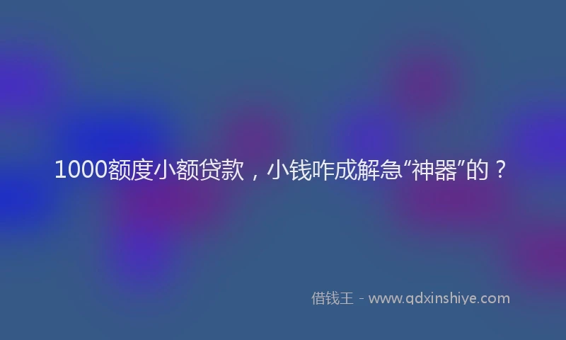 1000额度小额贷款，小钱咋成解急“神器”的？