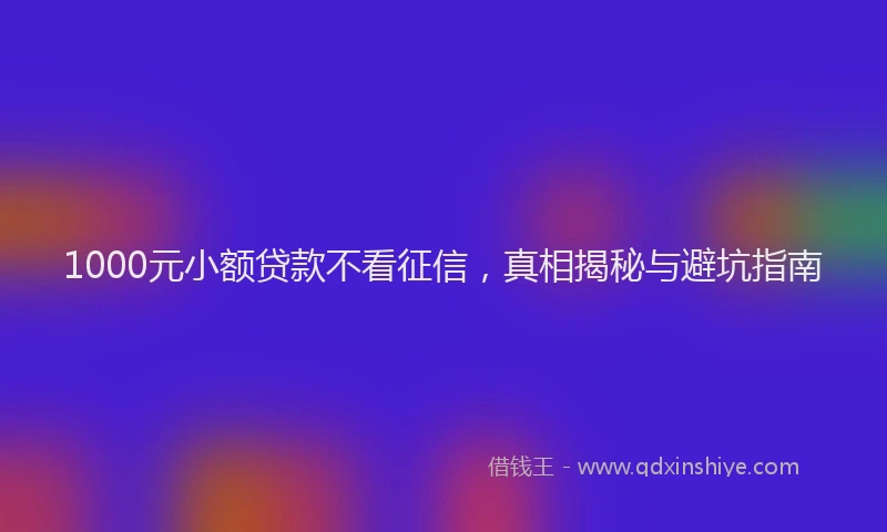 1000元小额贷款不看征信，真相揭秘与避坑指南