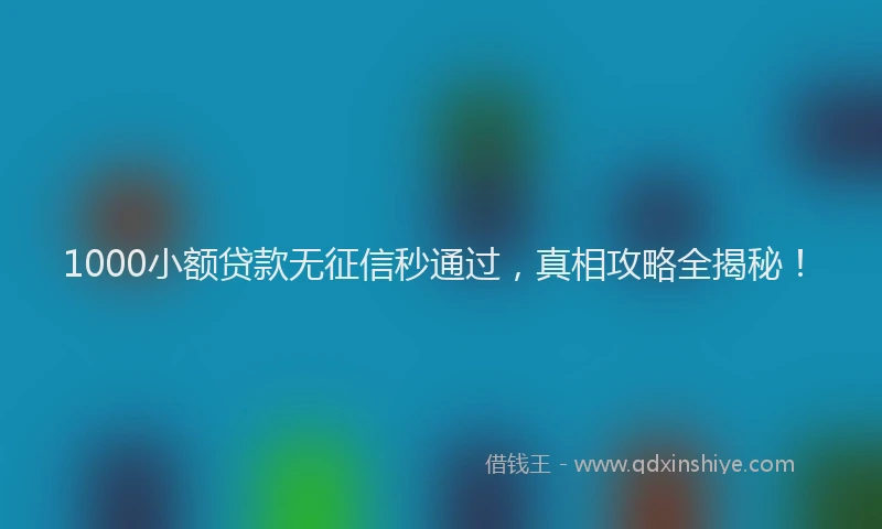 1000小额贷款无征信秒通过，真相攻略全揭秘！