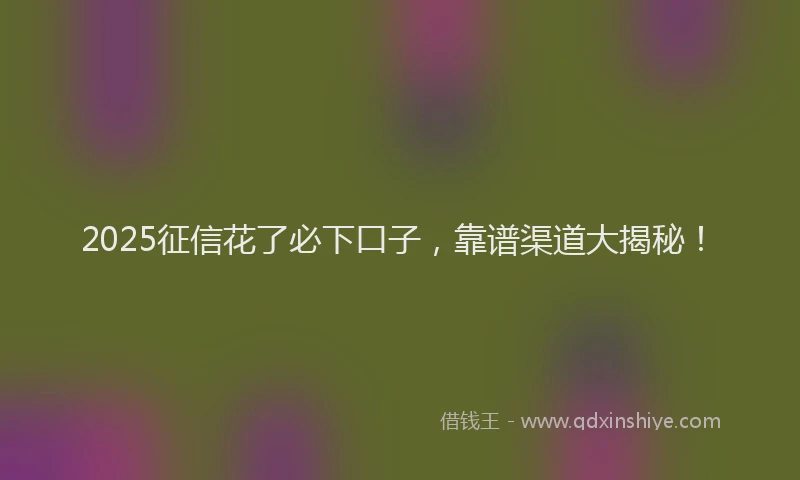 2025征信花了必下口子，靠谱渠道大揭秘！