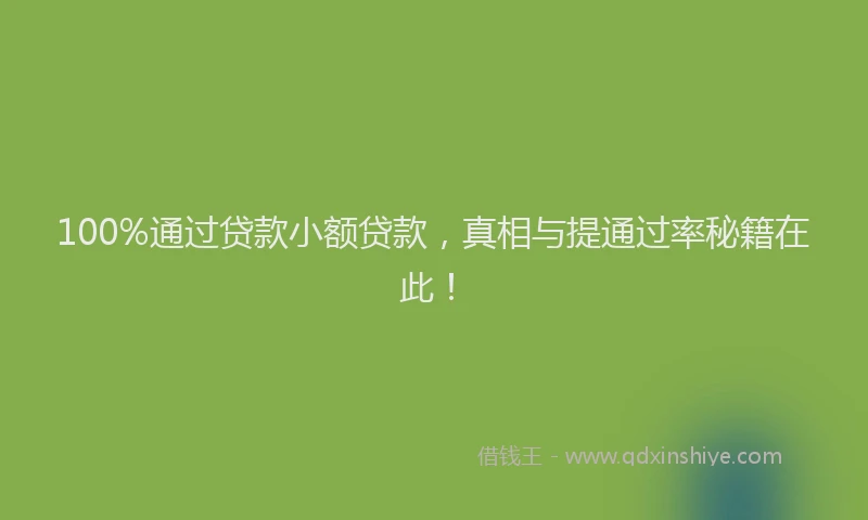 100%通过贷款小额贷款，真相与提通过率秘籍在此！