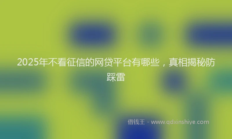 2025年不看征信的网贷平台有哪些，真相揭秘防踩雷