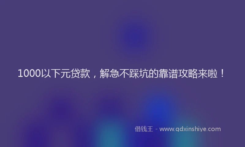1000以下元贷款，解急不踩坑的靠谱攻略来啦！