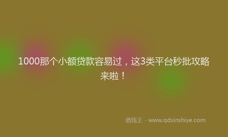 1000那个小额贷款容易过，这3类平台秒批攻略来啦！