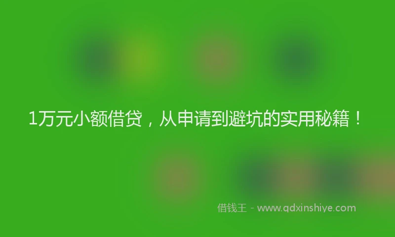 1万元小额借贷，从申请到避坑的实用秘籍！