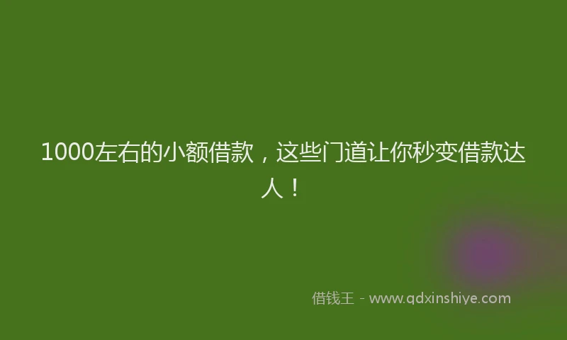 1000左右的小额借款，这些门道让你秒变借款达人！