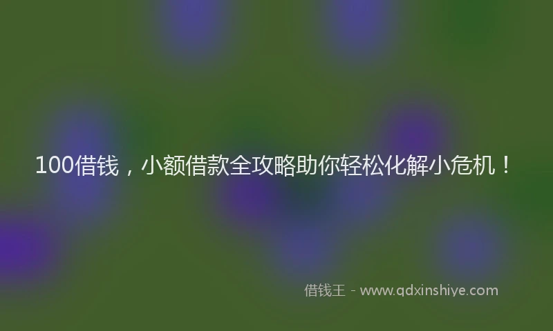 100借钱，小额借款全攻略助你轻松化解小危机！