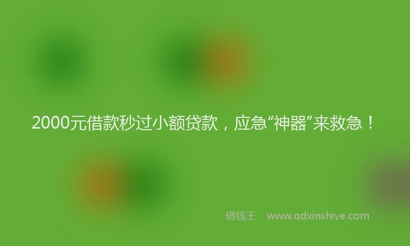 2000元借款秒过小额贷款，应急“神器”来救急！