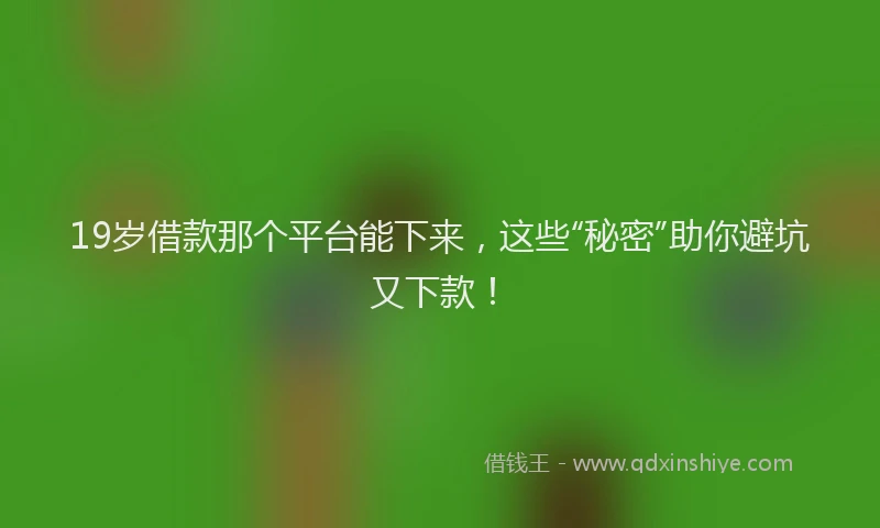 19岁借款那个平台能下来，这些“秘密”助你避坑又下款！