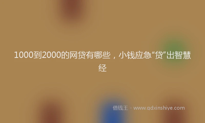 1000到2000的网贷有哪些，小钱应急“贷”出智慧经